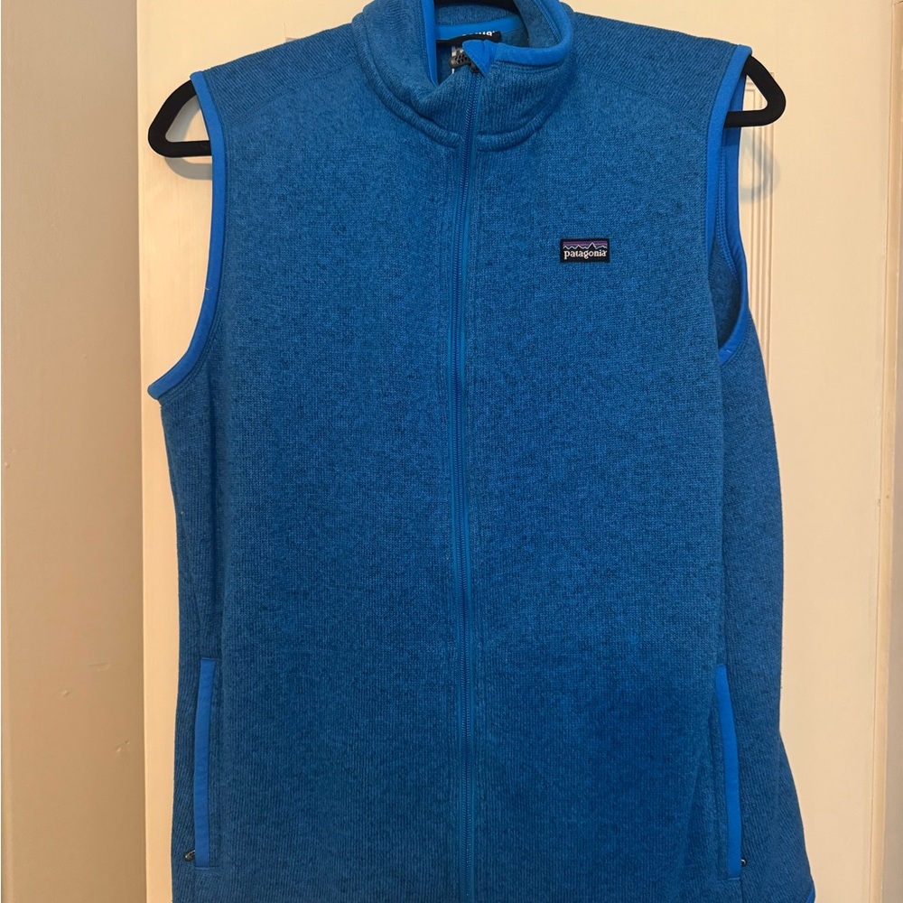 Patagonia Vibrant Blue Women's Vest